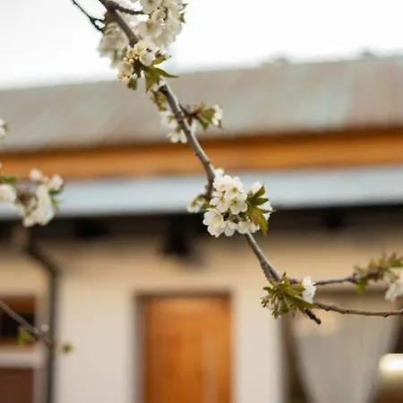 Casa Jardin Adesmia Villa Esquel Exterior photo