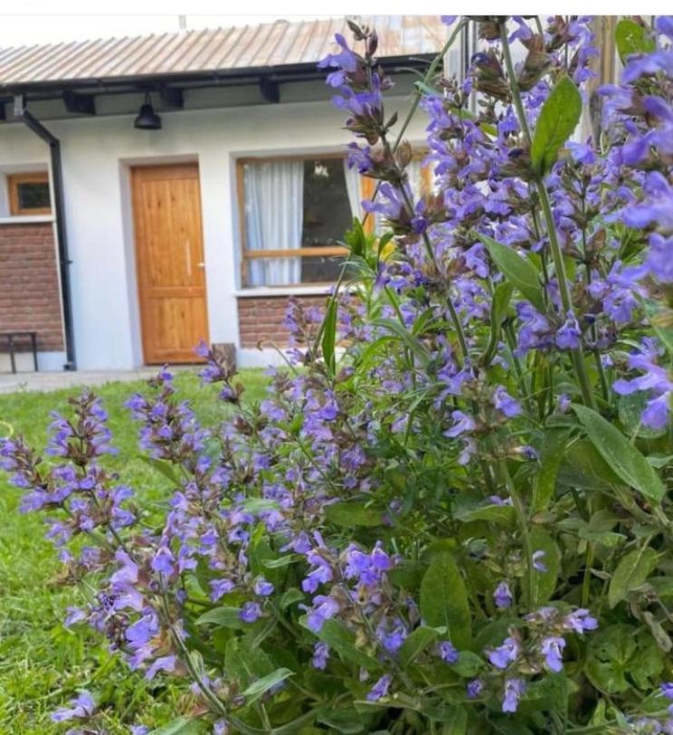 Casa Jardin Adesmia Holiday home *