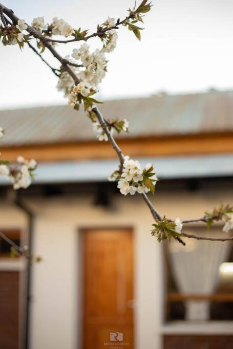 Holiday home Casa Jardin Adesmia *